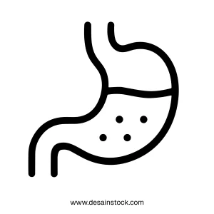 Outline Handdrawn Stomach Digestion Organ Anatomy Health Icon Design Element