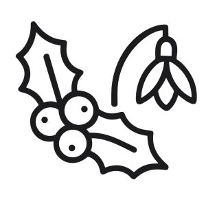 Minimalist Line Drawing Holly Berry and Snowdrop Flower Plant Illustration