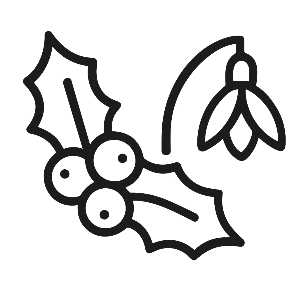 Minimalist Line Drawing Holly Berry and Snowdrop Flower Plant Illustration