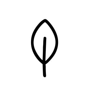 Minimalist Outline Single Leaf Simple Nature Icon Botanical Illustration