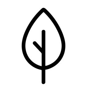 Minimalist Outline Leaf with Stem Botanical Simple Shape Icon Design