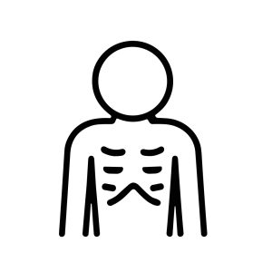Minimalist Line Art Human Body Skeleton System Anatomy Illustration