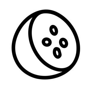 Simple Outline Half Coconut Tropical Fruit Food Icon Design