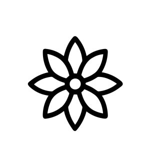 Simple Outline Floral Design with Eight Petals and Rounded Center Icon