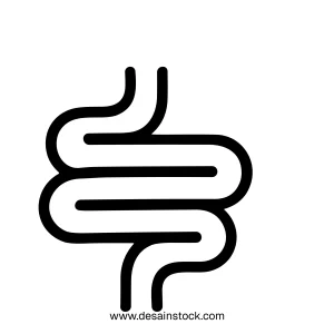 Outline Simple Human Intestine Anatomy Organ System Medical Icon