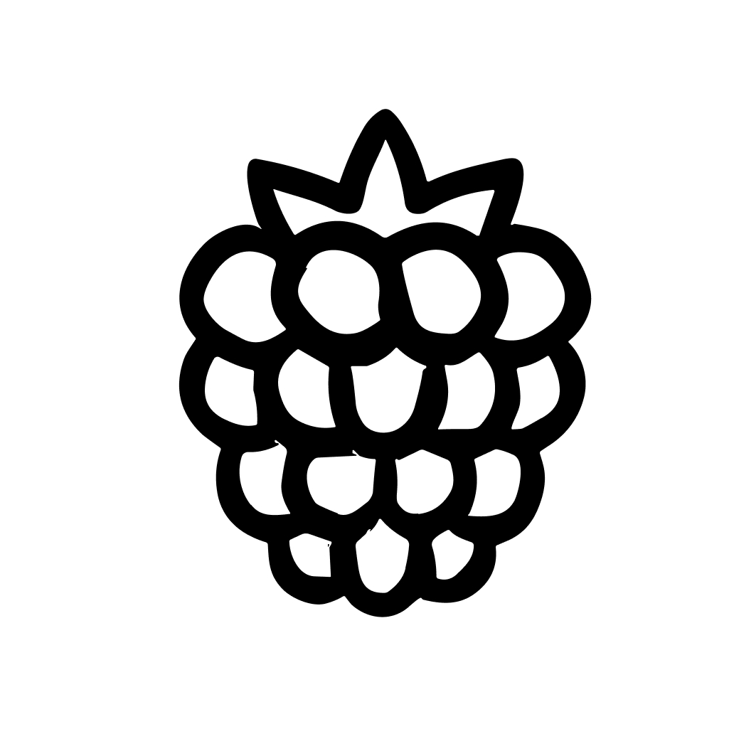 Simple Lineart Drawing Blackberry Fruit Outline Food Ingredient Icon