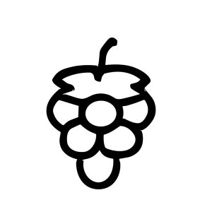 Simple Line Art Grape Fruit Outline Shape Handdrawn Icon Design