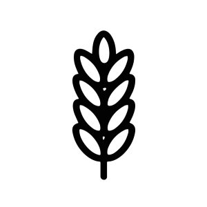 Minimalist Outline Wheat Plant Grain Agriculture Food Farming Icon Symbol