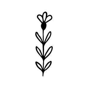 Simple Black and White Hand Drawn Flower Stem Botanical Illustration