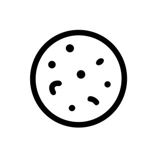 Handdrawn Outline Circle Cookie with Chocolate Chips Bakery Illustration