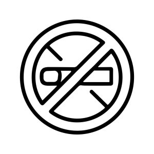 Simple Line Art No Smoking Sign in a Circle Prohibition Icon