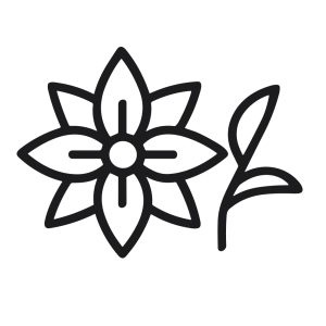 Minimalist Outline Flower Botanical Illustration with Leaf Decorative Design Element