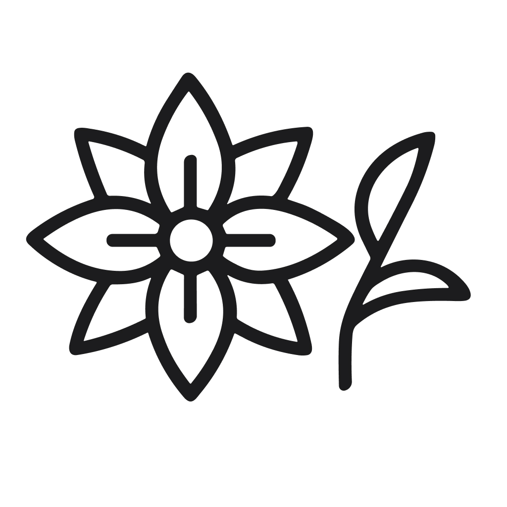 Minimalist Outline Flower Botanical Illustration with Leaf Decorative Design Element