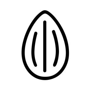 Minimalist Line Art Almond Seed Icon Isolated on White Background
