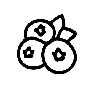Simple Handdrawn Blueberry Isolated Outline Drawing Ingredient Sweet Healthy Food