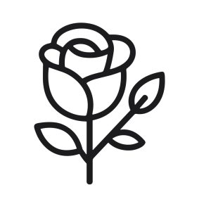 Elegant Outline Style Rose Flower Blossom Floral Plant Icon Design
