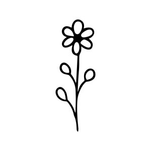 Simple Outline Handdrawn Flower Illustration with Stem and Leaves