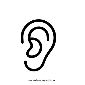 Simple Outline Line Ear Anatomy Hearing Sense Organ Icon