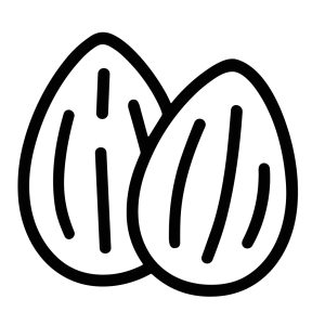 Simple Line Art Almond Nut Seed Healthy Food Illustration
