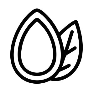 Simple Line Art Almond Seed with Leaf Healthy Food Icon