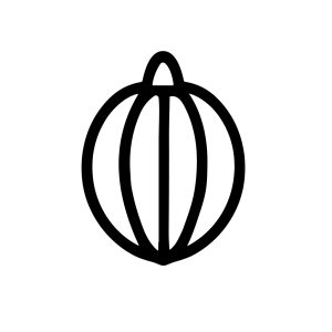 Simple Outline Spherical Lychee Fruit Tropical Food Symbol Graphic Element
