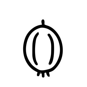 Simple Handdrawn Gooseberry Fruit Graphic Element Sign Symbol Icon