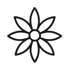 Simple Line Drawing Floral Flower with Eight Petals Nature Element