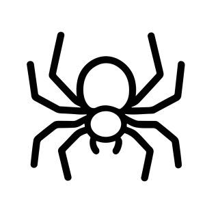 Minimalist Line Drawing Spider Silhouette Arachnid Insect Animal Illustration
