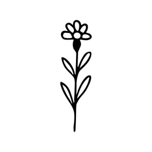 Hand Drawn Dainty Flower Plant with Stem and Leaves Line Art