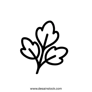 Simple Line Drawing Parsley Herb Ingredient Culinary Cooking Illustration
