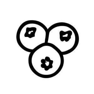Handdrawn Outline Three Blueberry Simple Cute Fresh Fruit Icon