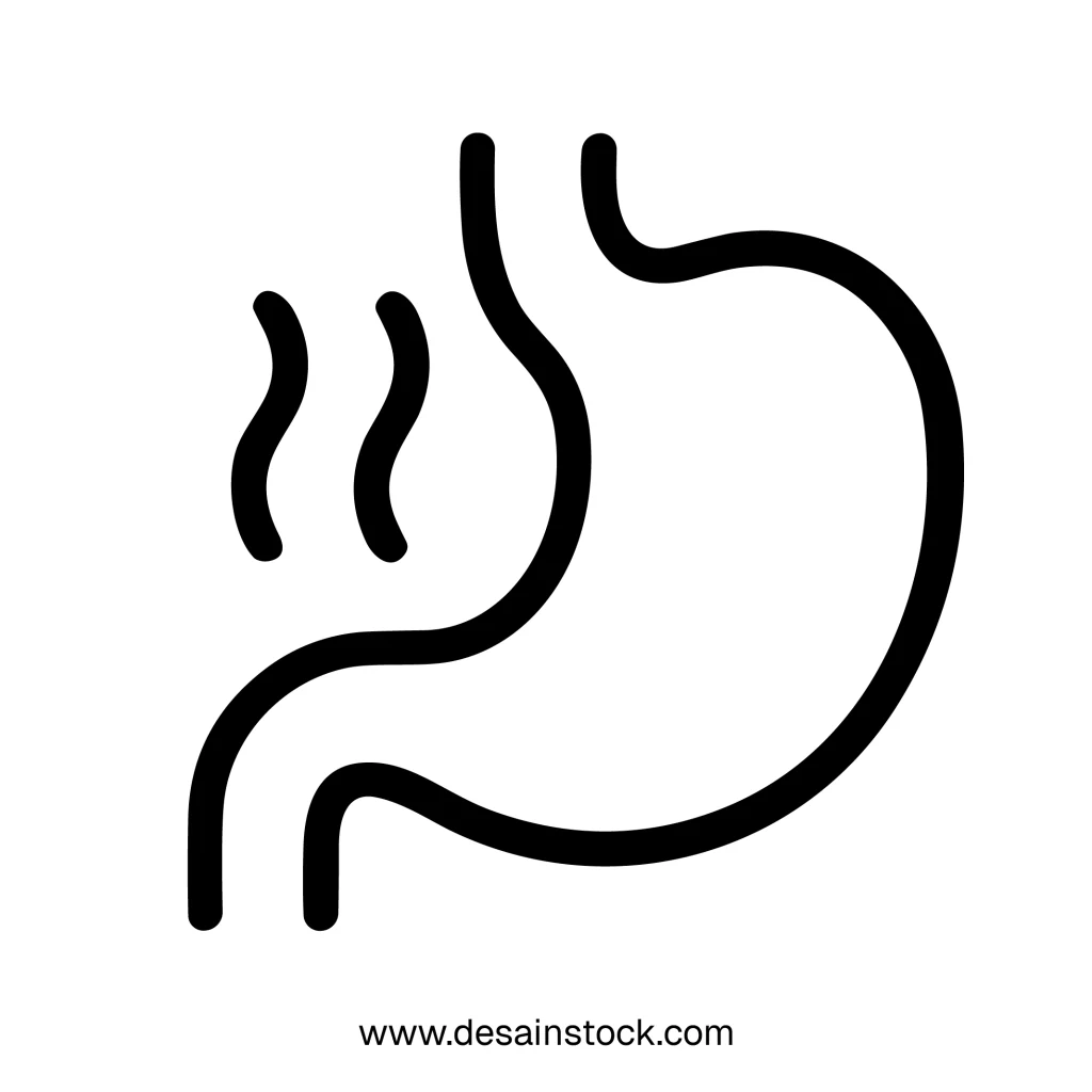 Minimalist Outline Stomach Organ Digestive System Line Art Icon