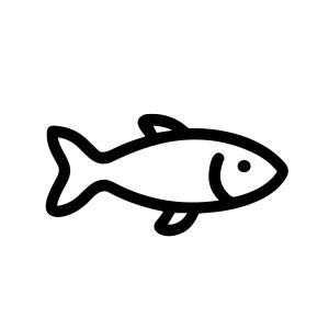 Simple Outline Fish Sea Animal Aquatic Life Line Art Icon