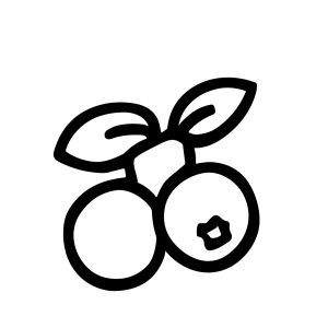 Simple Outline Berries with Leaves Handdrawn Food Illustration Clipart