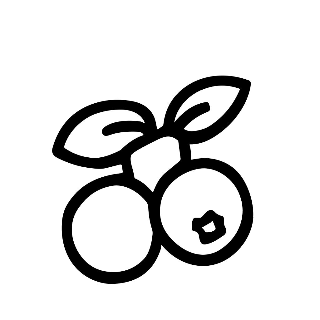 Simple Outline Berries with Leaves Handdrawn Food Illustration Clipart