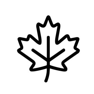 Minimalist Outline Maple Leaf Botanical Plant Element Icon Illustration
