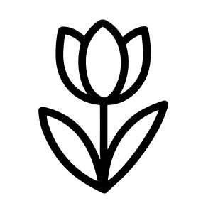 Outline Simple Tulip Flower Spring Bloom Floral Plant Icon Symbol