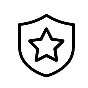 Minimalist Outline Shield Star Shape Security Protection Icon Illustration