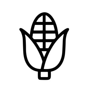 Outline Simple Sweetcorn Cob Maize Vegetable Farming Food Icon