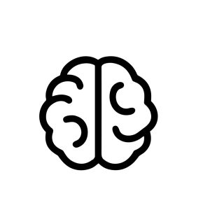 Simple Outline Brain Mind Concept Medical Education Flat Line Icon