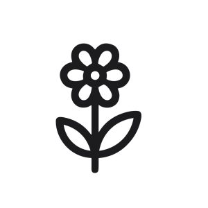 Minimalist Outline Style Floral Daisy Flower Simple Line Art Icon