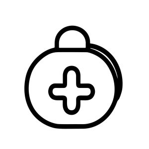 Minimalist Line Art Circle Medallion with Plus Sign Shape Icon