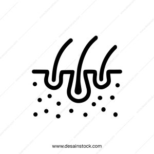 Outline Style Detailed Hair Follicle Treatment and Growth Process Icon