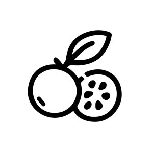 Simple Outline Citrus Fruit with Slice Minimalist Food Icon