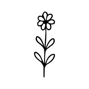 Minimalist Handdrawn Flower on Stem with Leaves Botanical Illustration