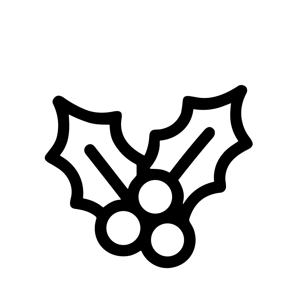 Simple Line Art Holly Berry Decorative Plant Winter Holiday Icon