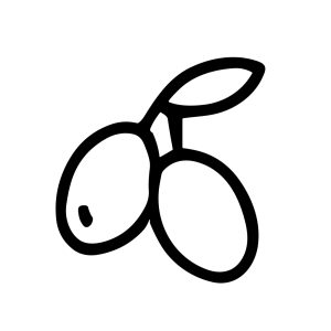 Simple Outline Handdrawn Olive Branch with Leaves Natural Food Icon