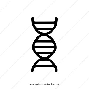 Simple Line Drawing DNA Double Helix Strand Science Icon