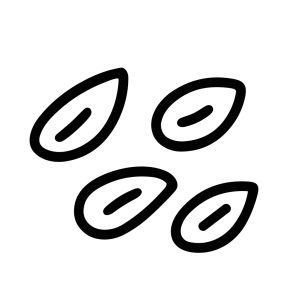 Doodle Style Simple Sunflower Seed Pile Isolated Outline Icon Element