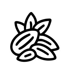 Line Style Detailed Almond Nut Seed Healthy Food Line Art